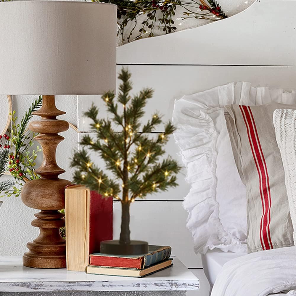 Hairui Christmas Tabletop Pine Tree Lights 60 LED 18IN Battery or USB Oprerated with Timer, Lighted Pine Tree for Home Winter Holiday Decor Indoor Use