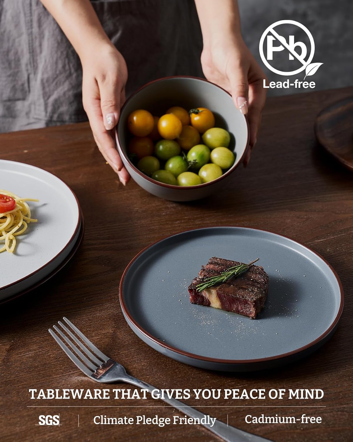 Famiware Mercury Plates and Bowls Sets, 12 Pieces Stoneware Dinnerware Sets, Dishes Set for 4, Microwave and Dishwasher Safe, Multi-color