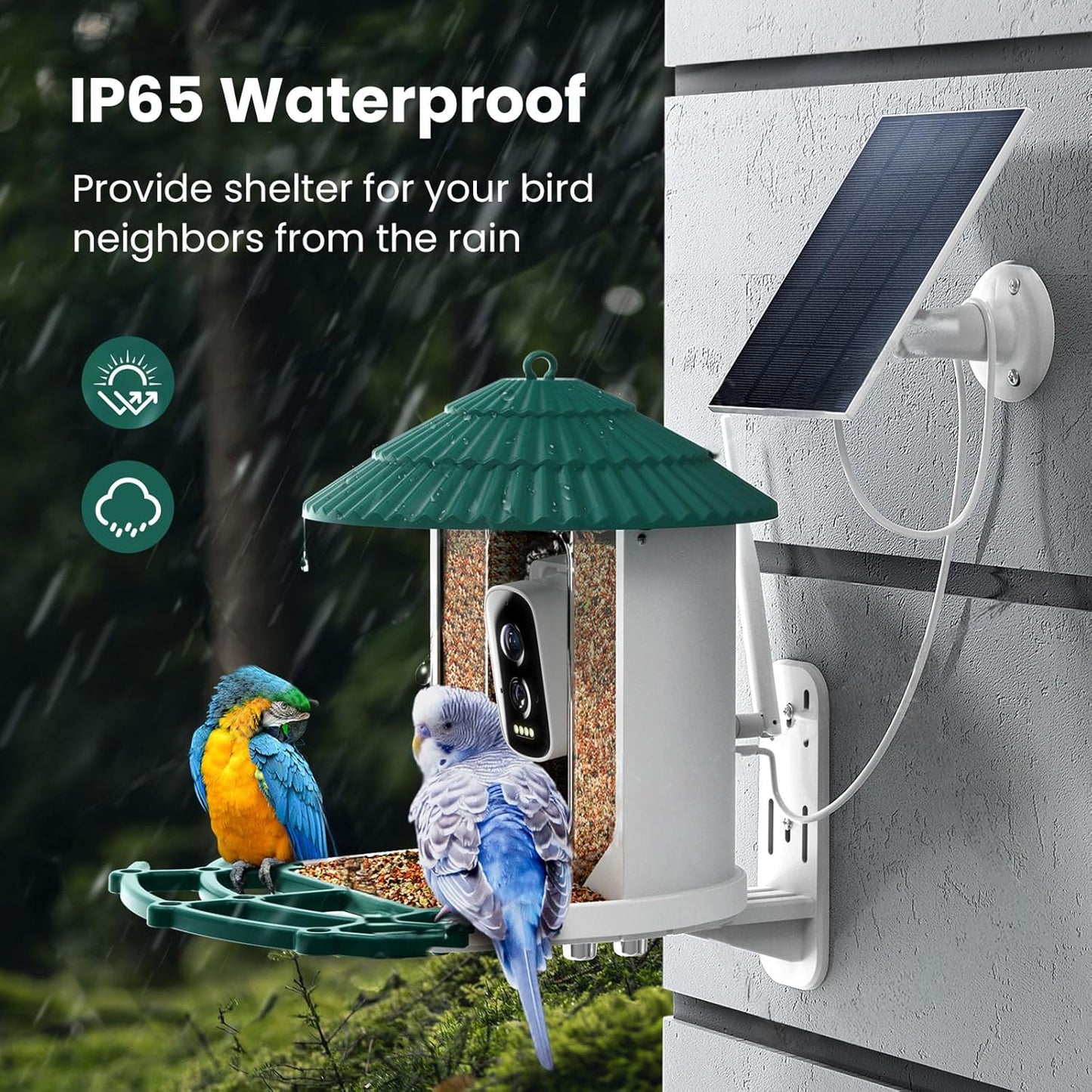 Bird Feeders for Outdoors, Smart Bird Feeder with Camera Solar Powered, AI Species Identification, 3K Video Live Stream Camera, 5Mp HD Night Vision, Instant Arrival Alerts