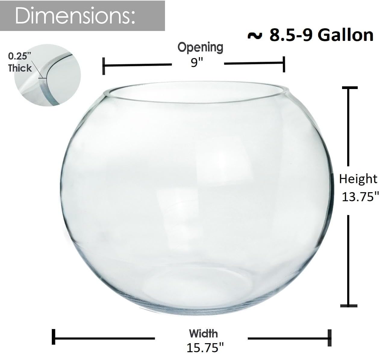 Craft And Party, Fish Bowl Vase, 14" Height x 16" Width Set of 2 Glass Fish Bowl Vase, Bubble Bowl vase for Terrarium, Flower vase Centerpiece