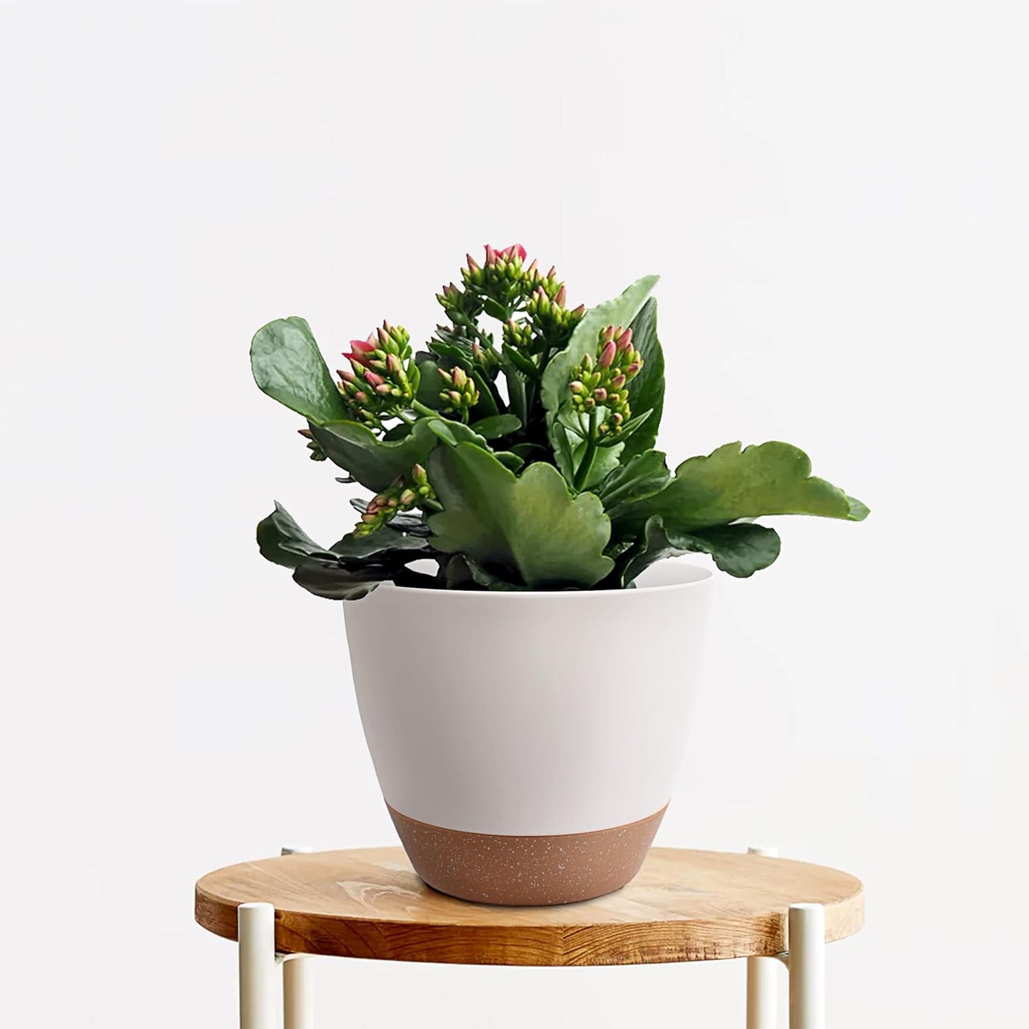 Giraffe Creation Plant Pots Set of 3 (12/10/9 inch), Self-Watering Indoor & Outdoor Flower Planters with Drainage Hole and Reservoir, White