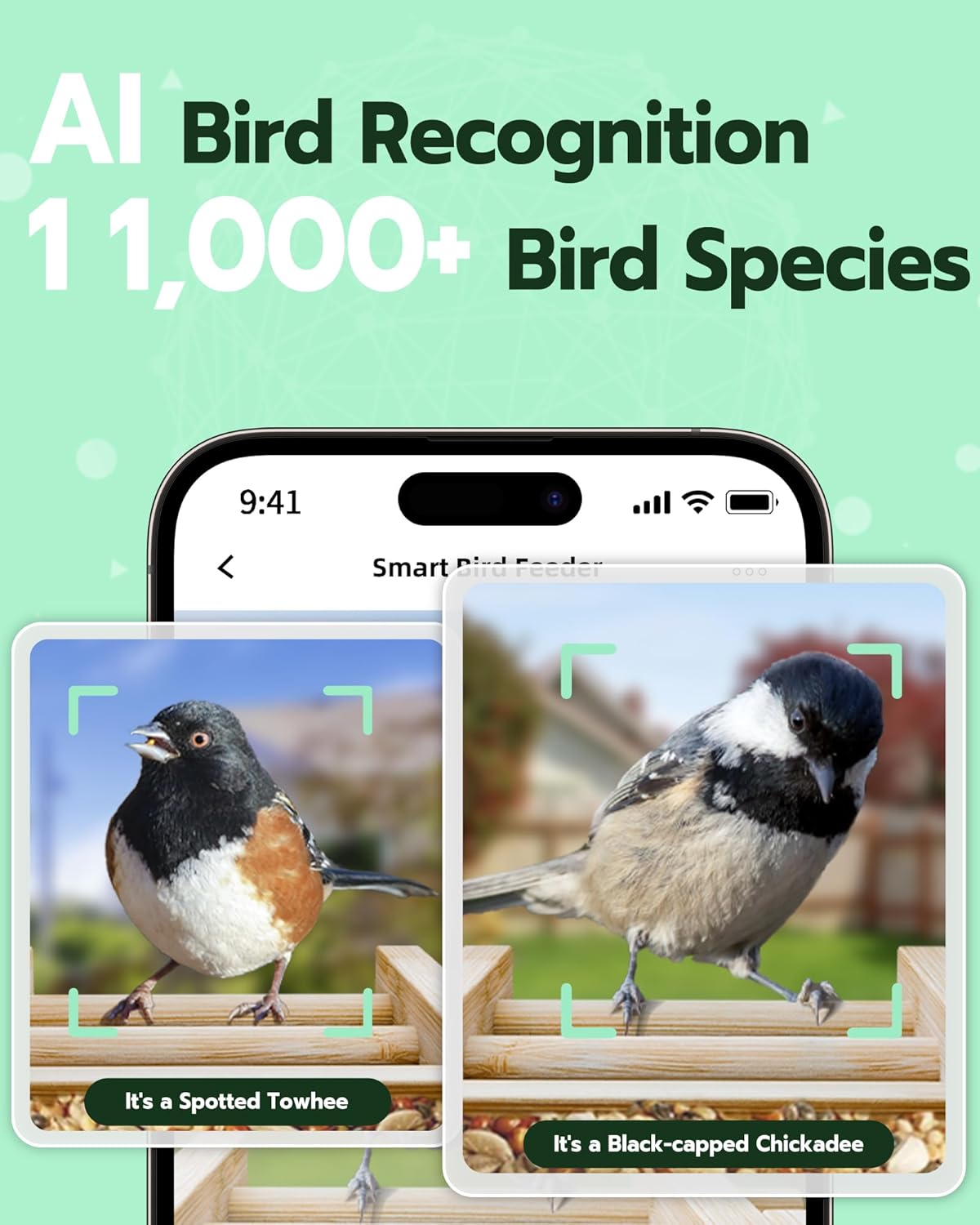 Bird Feeder with Camera, Smart Wild Bird Feeder for Outdoors with AI Identify, Solar Bird Feeder Watching Camera Auto Capture Birds & Real-time Notifications, Gifts for Birdlover (Arch)