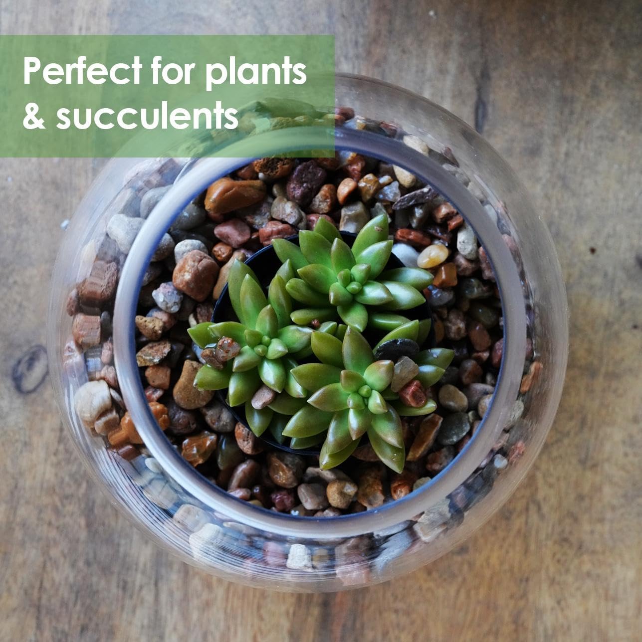 Craft And Party, Glass Bubble, 6" Height x 8" Width Glass Fish Bowl Vase, Bubble Bowl vase for Terrarium, Flower vase Centerpiece