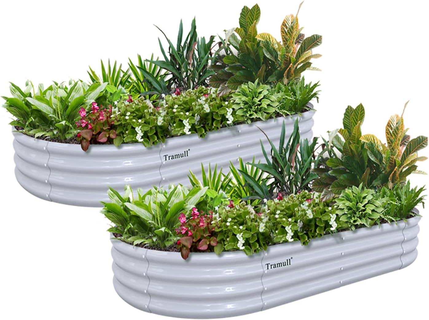 2 Pack 6x3x1FT Galvanized Raised Garden Bed Kit Oval Metal Ground Planter Box Outdoor Bottomless Planter Raised Beds for Vegetables Flowers Herbs Fruits, Gray