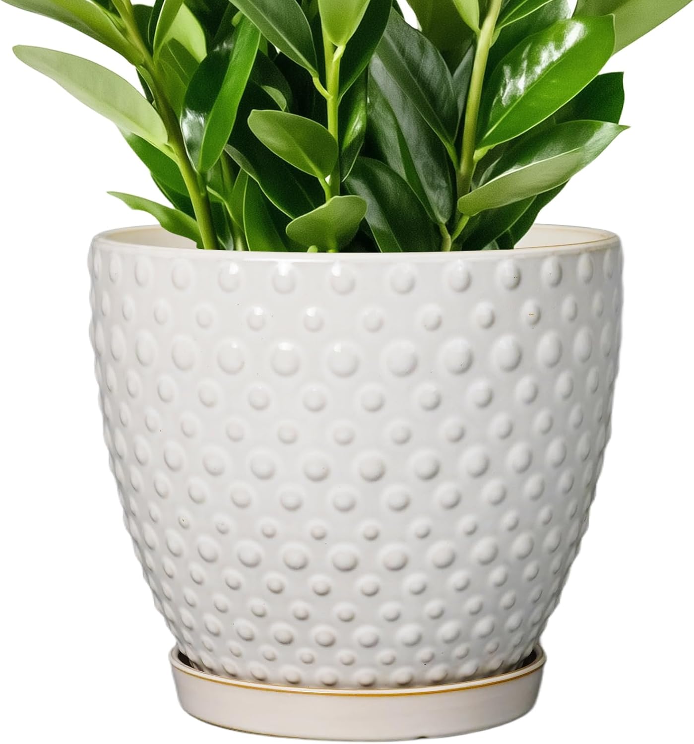 G EPGardening 10 Inch Plant Pot Ceramic Pots for Plants Indoor Outdoor Plant Pots with Drainage Hole and Saucer Round Large Flower Pot for Home Garden Office White