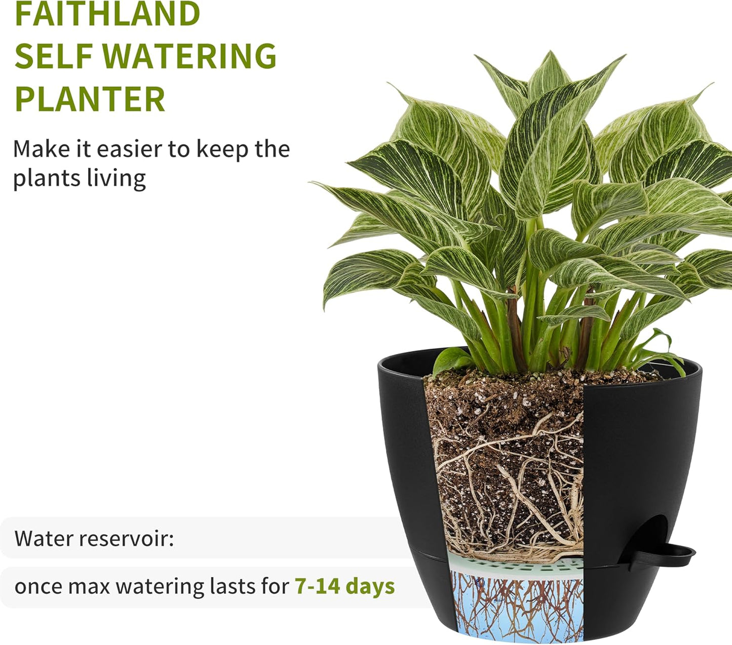 FaithLand 3-Pack Large Planter Pots, 12 10 9 Inch Self Watering Flower Pots for Indoor Outdoor Garden Plants, Black with Brown