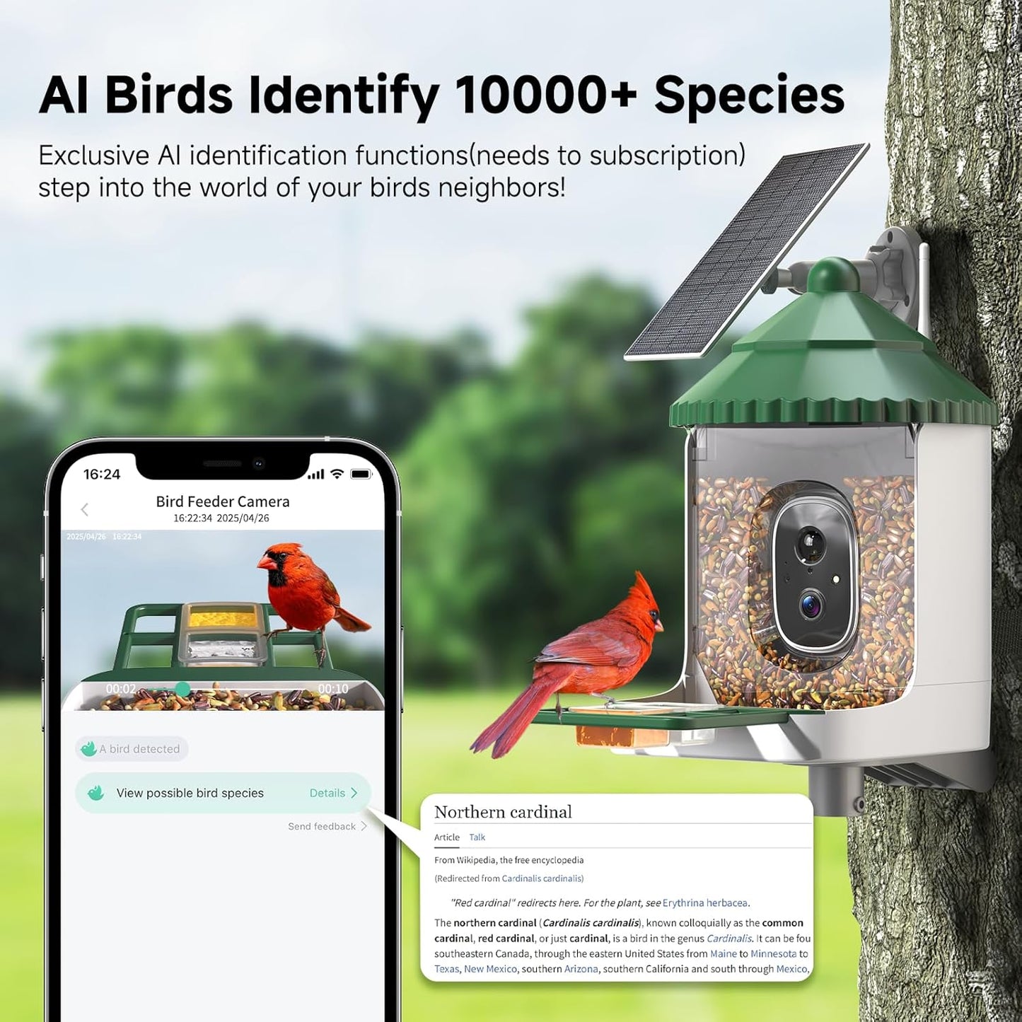 Bird Feeder with Camera AI Identify 2K Live Video Smart Bird Feeder with Camera, 2.4GHZ WiFi Solar Birds House Cameras, Motion Detection Instant Arrival Alerts, Ideal Present for Birds Lovers