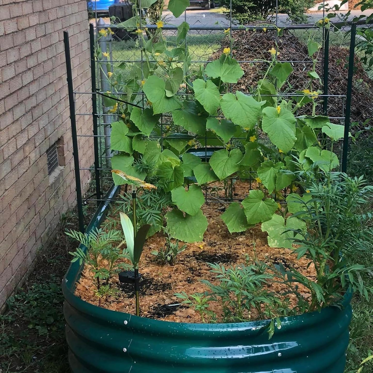 2 Pack 8x3x1FT Galvanized Raised Garden Bed Large Metal Planter Box Kit Elevated Raised Garden Planters for Outdoor Plants, Green