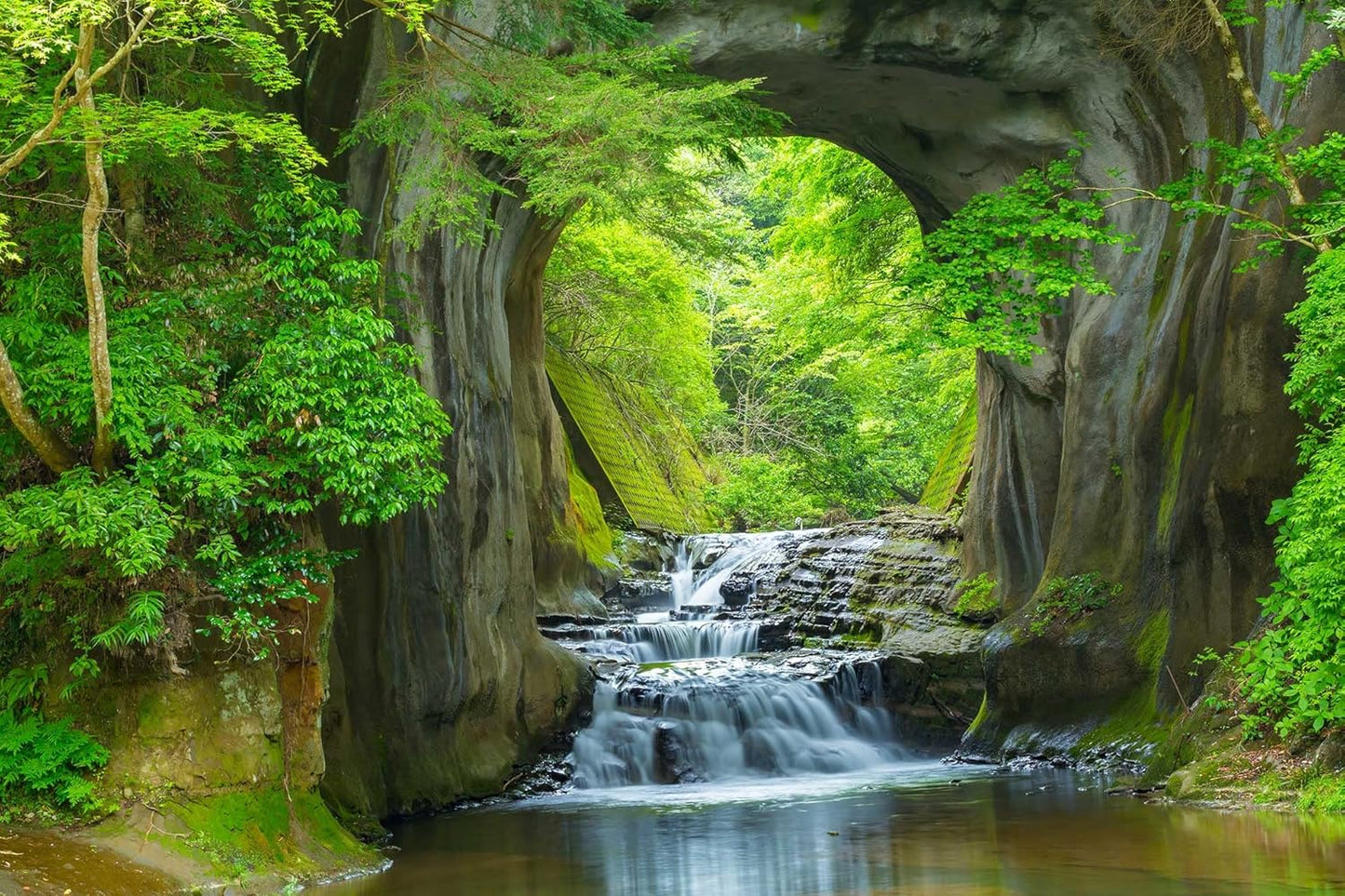 Forest Stream Wall Mural Wallpaper Large Nature Scenery Mural for Bedroom Living Room TV Background Sofa Wall (not self-Adhesive)