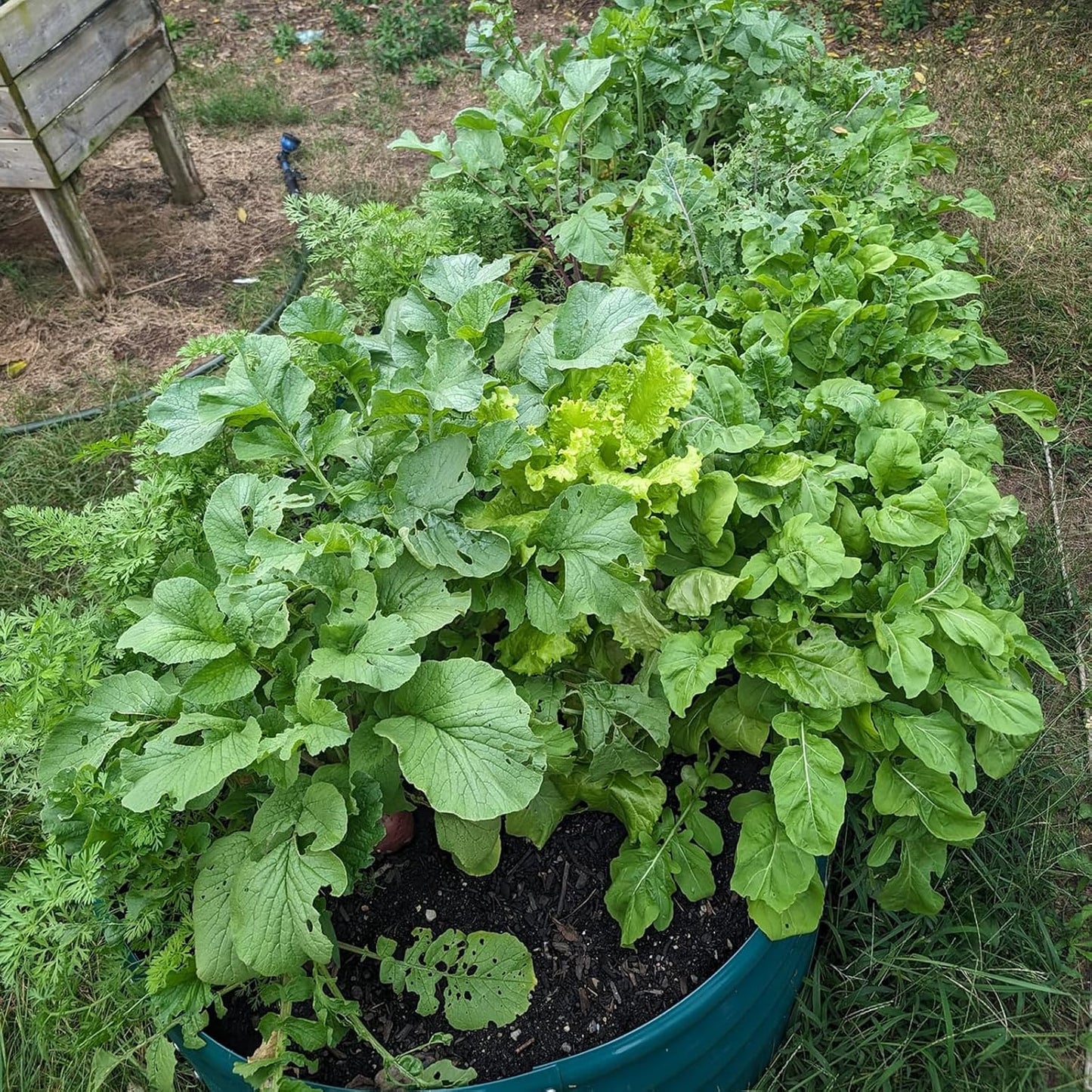 2 Pack 8x4x1FT Galvanized Raised Garden Bed Kit Oval Metal Ground Planter Box Outdoor Bottomless Planter Raised Beds for Vegetables Flowers Herbs Fruits, Green